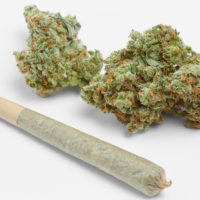 Marijuana Joint sold by weed businesses